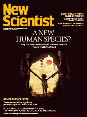 New Scientist US No. 3558 30 August5 September 2025