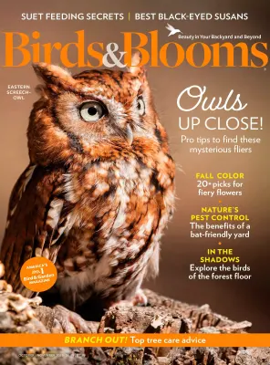 Birds Blooms October November 2025