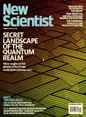 New Scientist International Edition No. 3560 13 September 2025