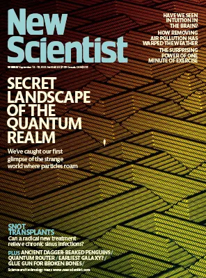 New Scientist US No. 3560 13 19 September 2025