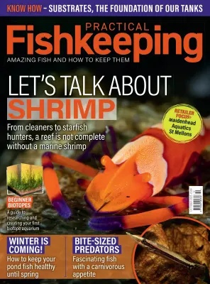 Practical Fishkeeping October 2025