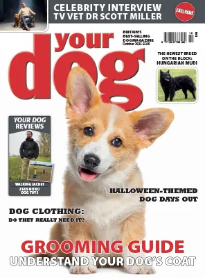 Your Dog October 2025