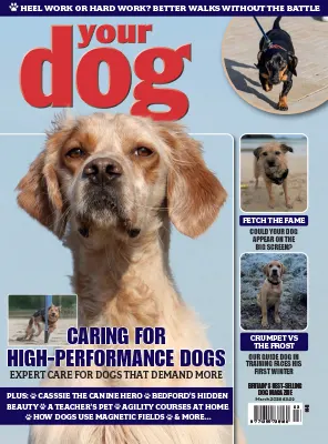 Your Dog March 2026