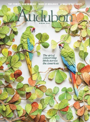 Audubon Spring 2026