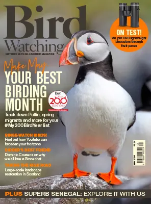 Bird Watching UK May 2026