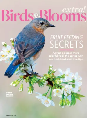 Birds and Blooms Extra Spring 2026