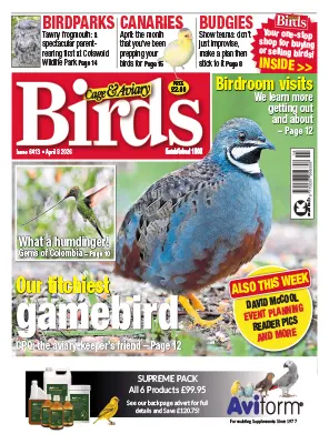 Cage Aviary Birds Issue 6413 8 April 2026