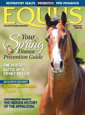 Equus Issue 526 Spring 2026