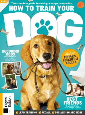 How to Train Your Dog 4rd Edition 2026