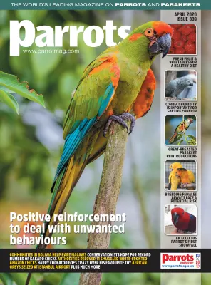 Parrots Magazine April 2026
