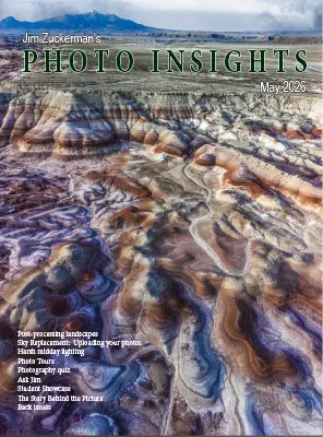 Photo Insights May 2026