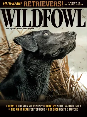 Wildfowl Vol. 41 Issue 3 June July 2026