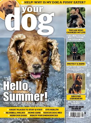Your Dog May 2026