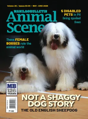 Animal Scene May June 2026