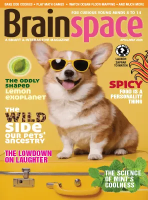 Brainspace April May 2026