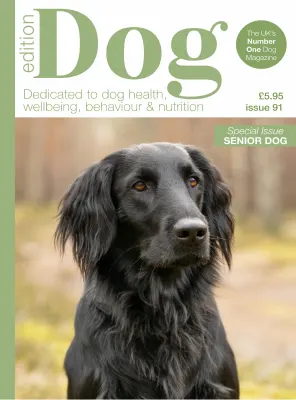 Edition Dog Issue 91 2026