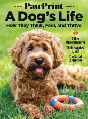 Pawprint Special Edition A Dogs Life 2026
