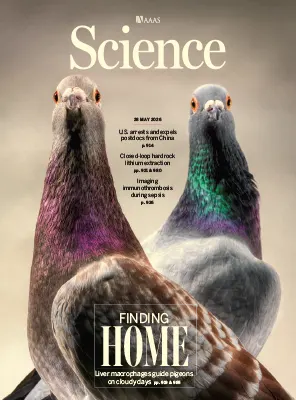 Science Issue 6801 Volume 392 May 28 2026