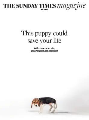The Sunday Times Magazine May 31 2026