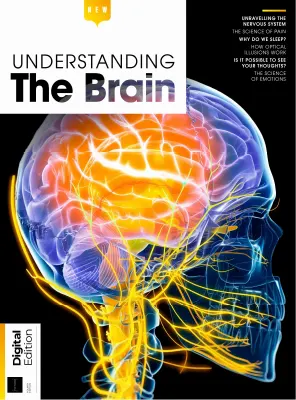 Understanding The Brain 4th Edition 2026