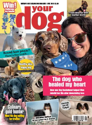 Your Dog June 2026