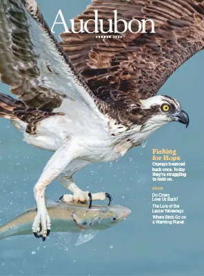 Audubon Magazine Summer 2026