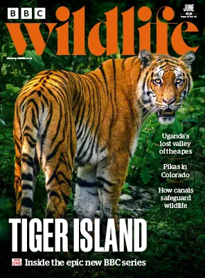 BBC Wildlife Magazine Vol. 44 Issue 07 June 2026