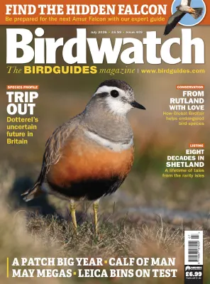 Birdwatch UK Issue 409 July 2026