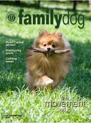 AKC Family Dog July August 2026