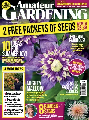 Amateur Gardening 1 August 2026