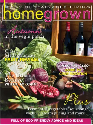 Homegrown Issue 19 2026