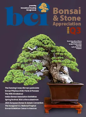 BCI Bonsai Stone Appreciation Magazine Volume 65 Number 3 Quarter 3 2026