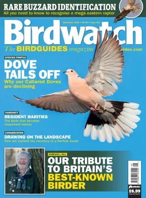 Birdwatch UK Issue 411 September 2026