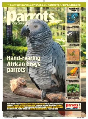Parrots Magazine Issue 343 August 2026