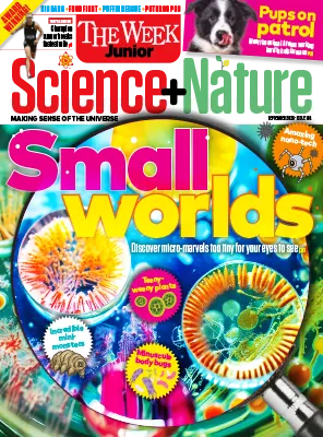 The Week Junior Science Nature UK Issue 104 September 2026