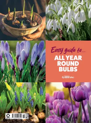 Amateur Gardening Easy Guide to All Year Round Bulbs 2026