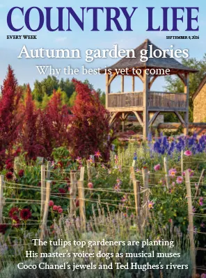 Country Life UK 9 September 2026