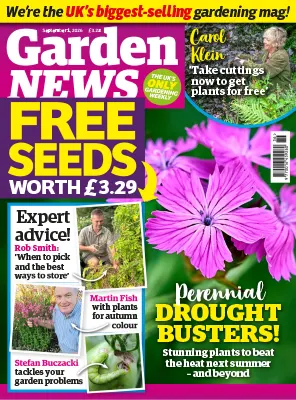 Garden News September 01 2026