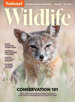 National Wildlife Fall 2026