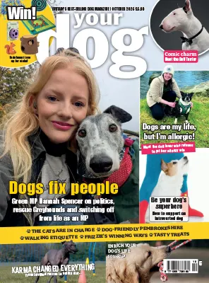 Your Dog October 2026